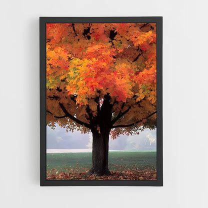 ap-fall colors-3 cadre Noir