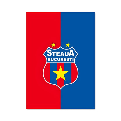 Poster Fcsb Spirit