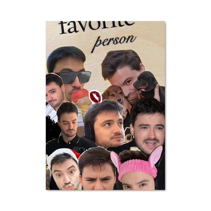 Poster Visages de la Vie