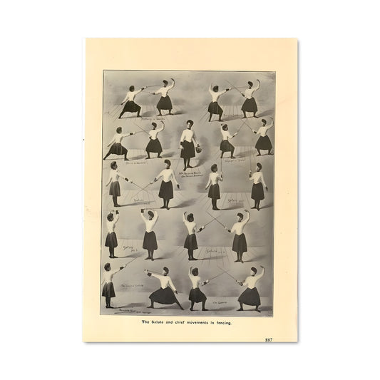Poster Fencing 67442
