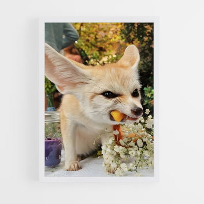ap-fennec fox-3 cadre Blanc