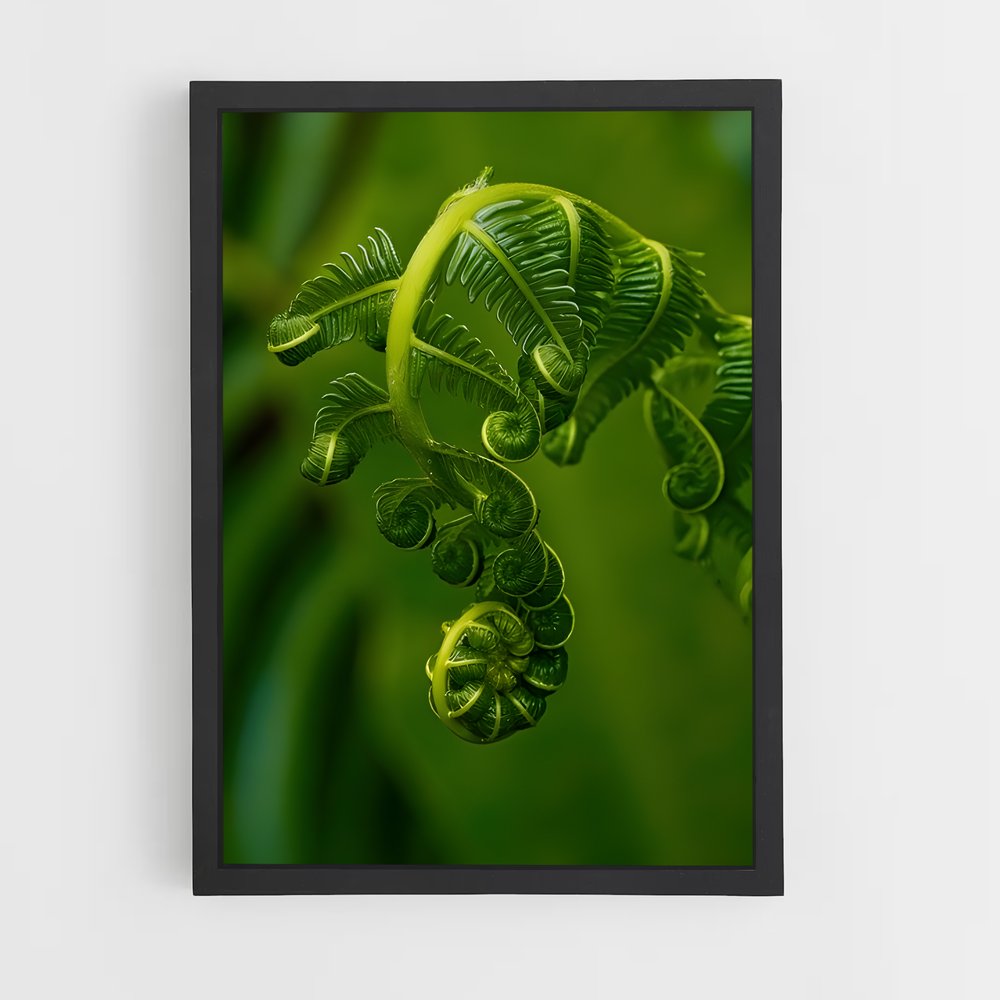 ap-ferns-1 cadre Noir