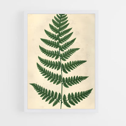 ap-ferns-5 cadre Blanc