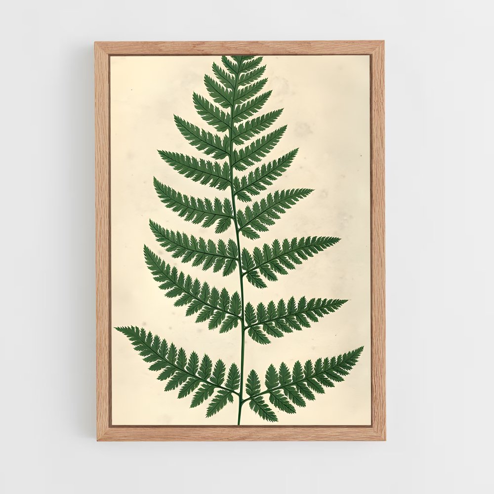 ap-ferns-5 cadre Bois clair