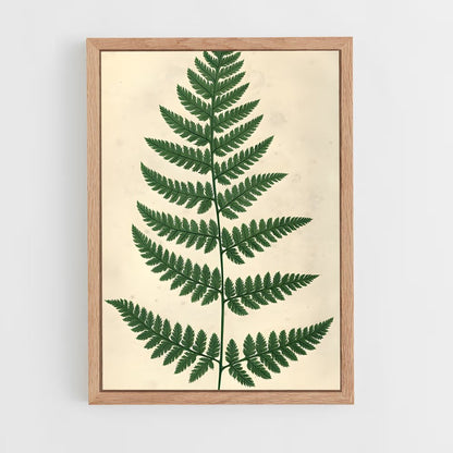 ap-ferns-5 cadre Bois clair