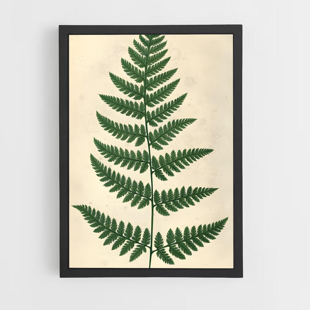 ap-ferns-5 cadre Noir