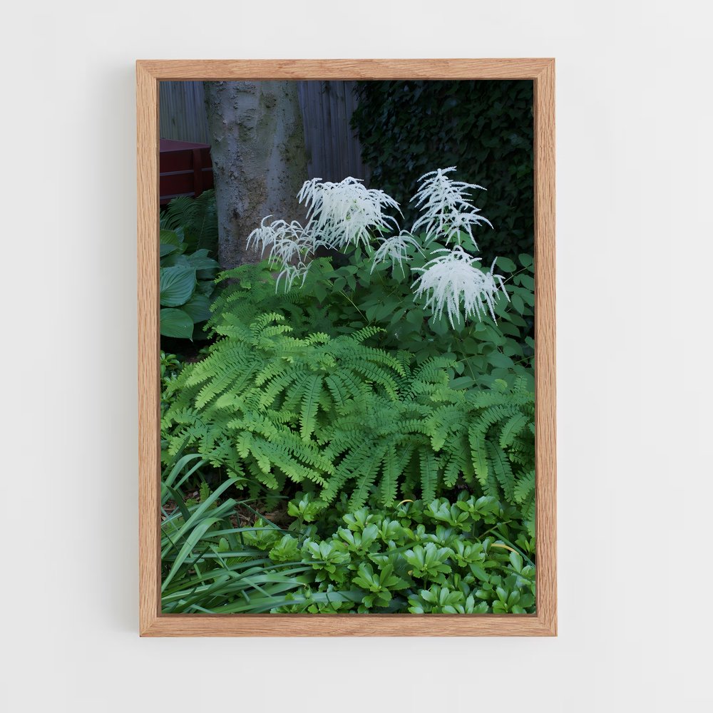 ap-ferns-7 cadre Bois clair