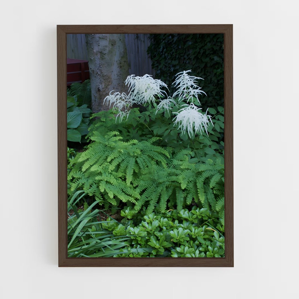 ap-ferns-7 cadre Bois foncé