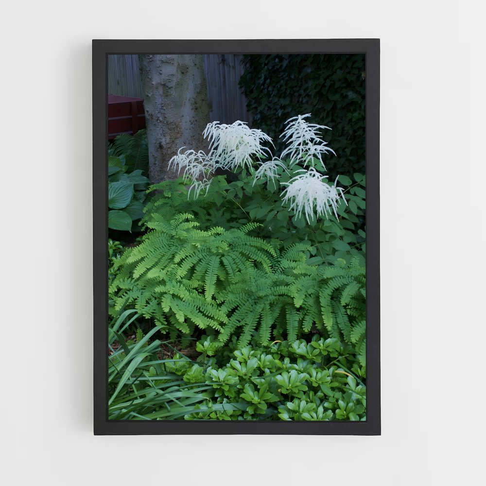 ap-ferns-7 cadre Noir