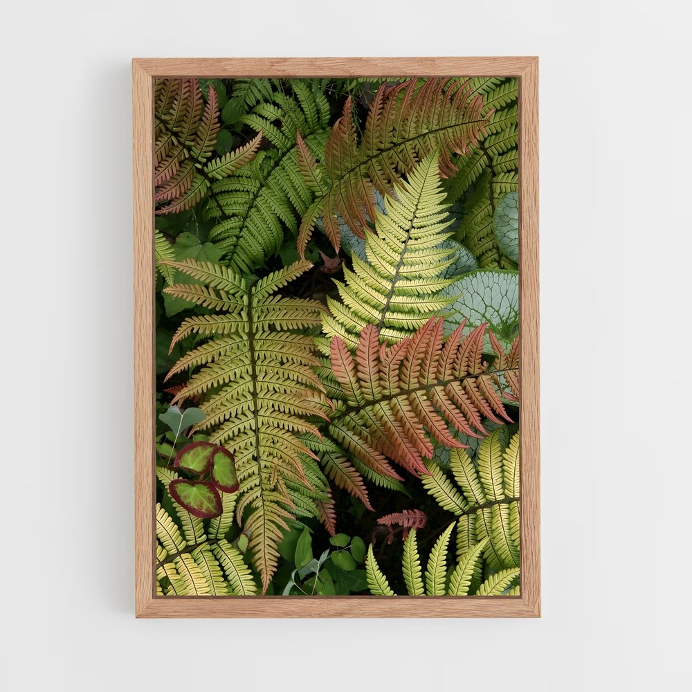 ap-ferns-8 cadre Bois clair