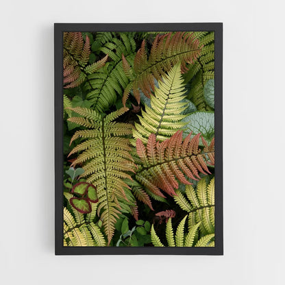 ap-ferns-8 cadre Noir