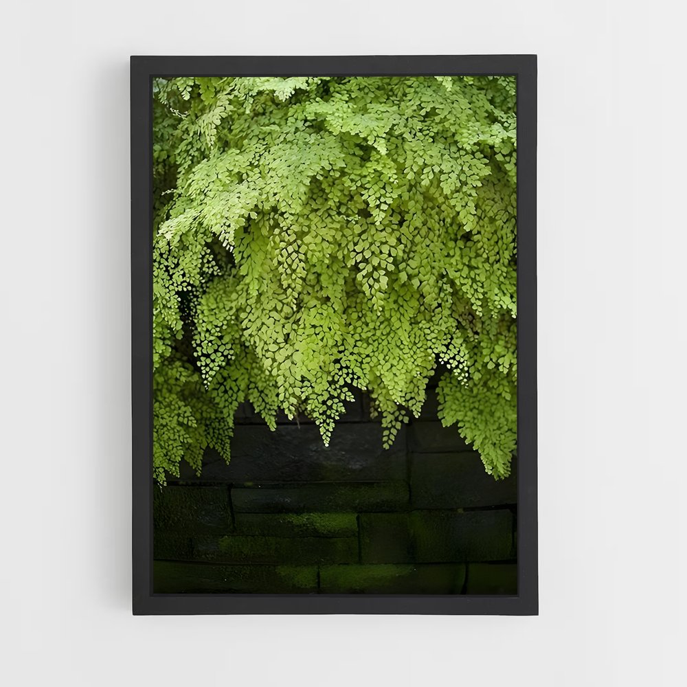 ap-ferns-9 cadre Noir