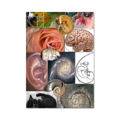 Poster Spirale d'Inspiration