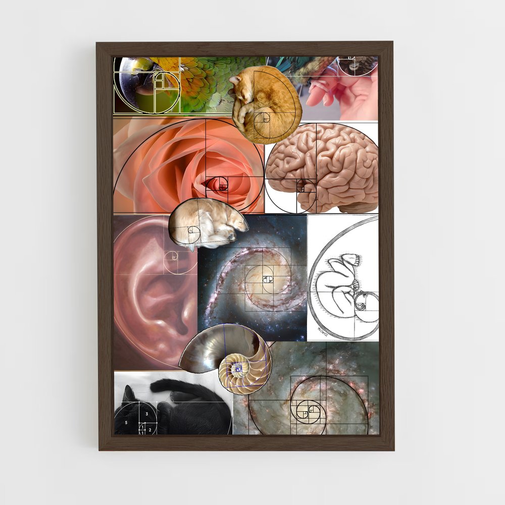 ap-fibonacci spiral-1 cadre Bois foncé