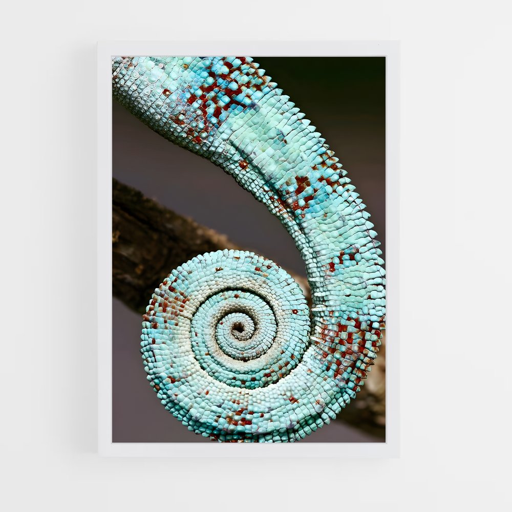ap-fibonacci spiral-4 cadre Blanc