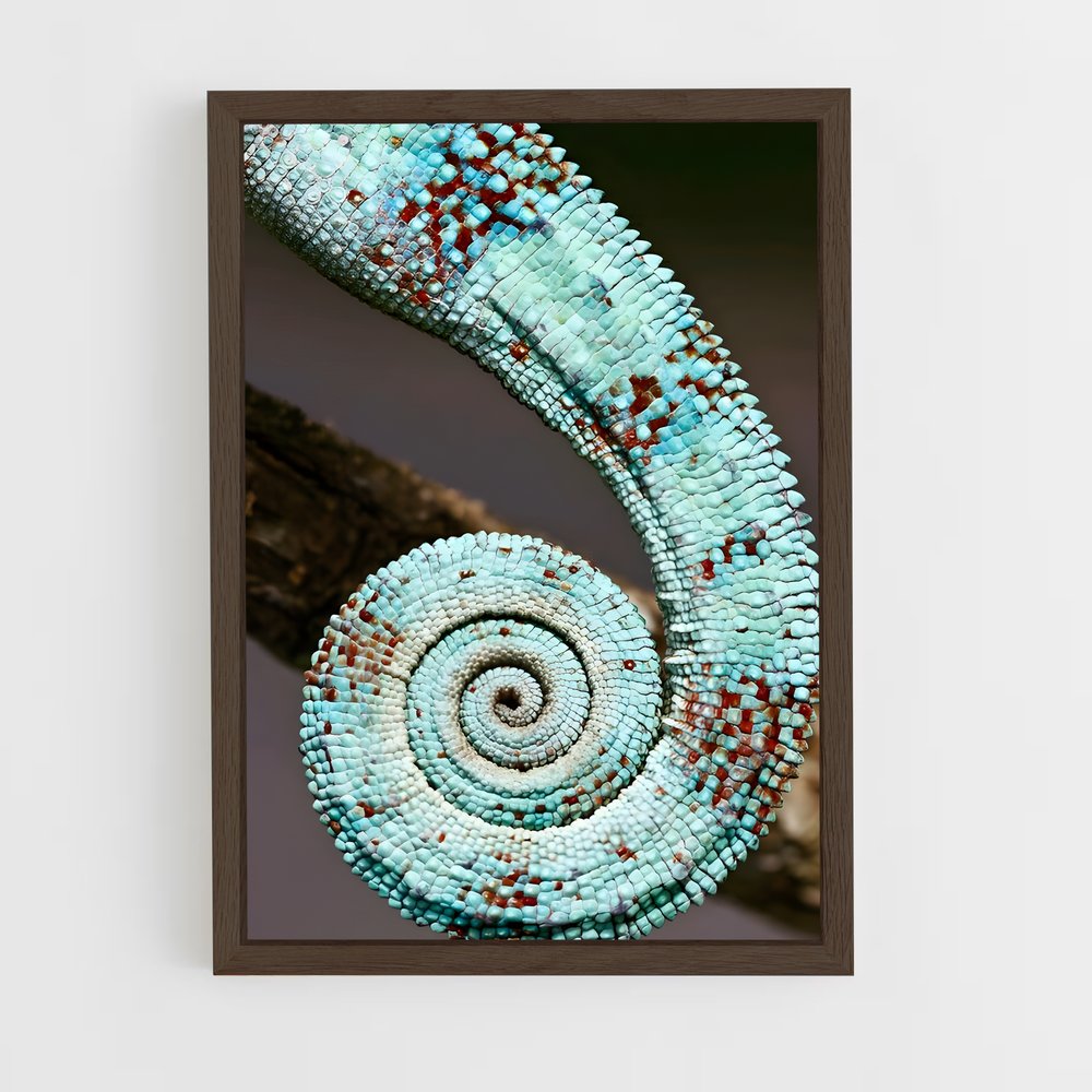 ap-fibonacci spiral-4 cadre Bois foncé