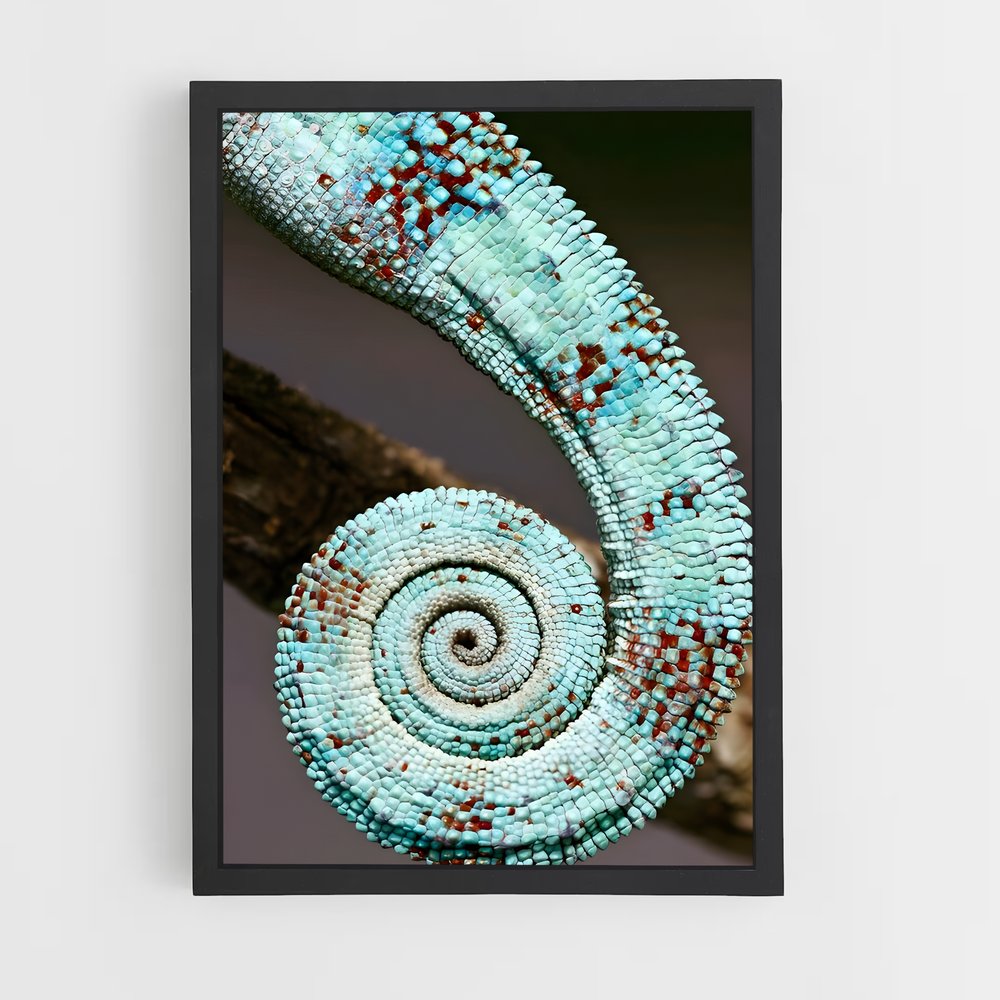 ap-fibonacci spiral-4 cadre Noir