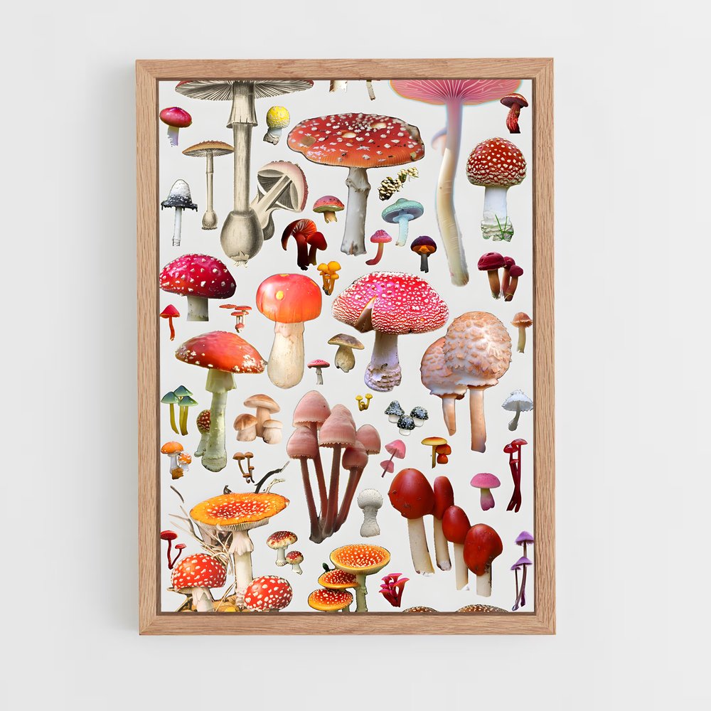 ap-field mushroom-3 cadre Bois clair