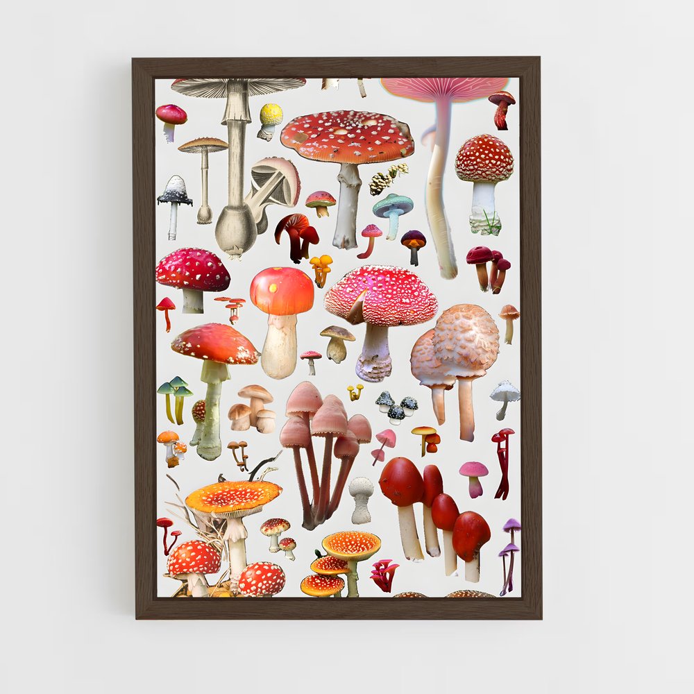ap-field mushroom-3 cadre Bois foncé