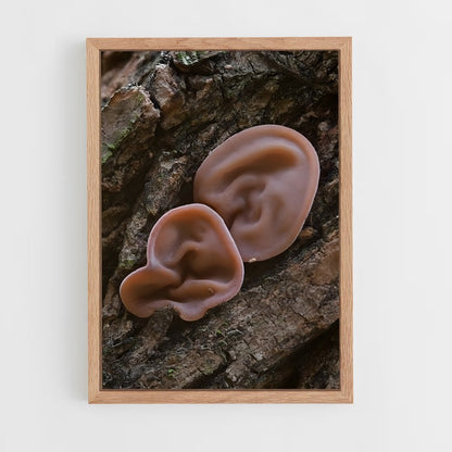 ap-field mushroom-5 cadre Bois clair