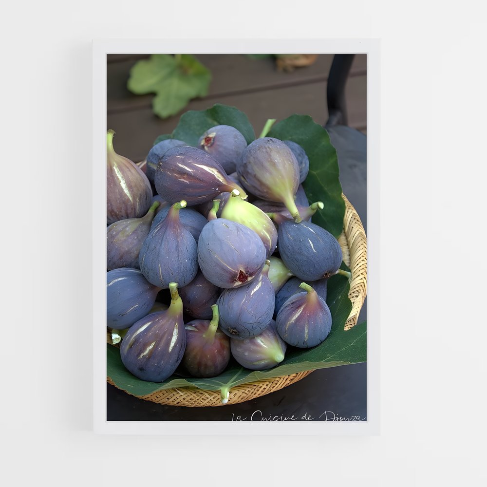 ap-fig-5 cadre Blanc