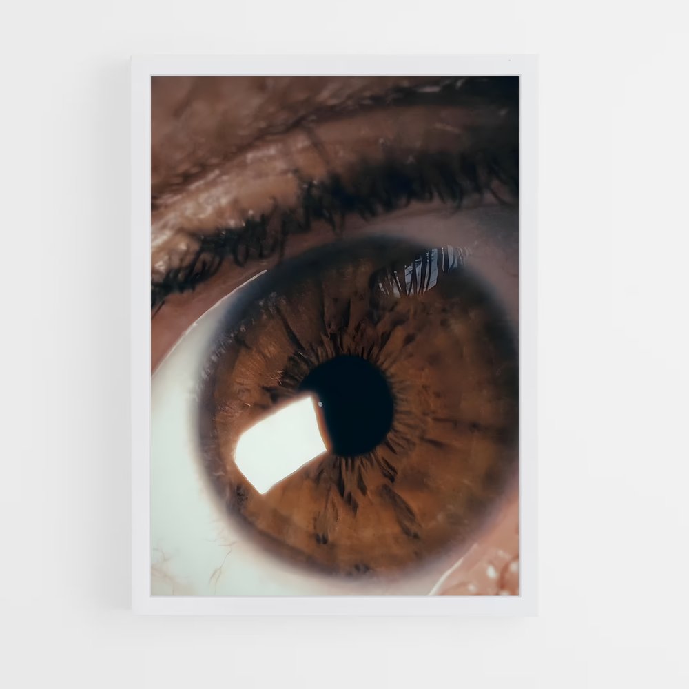 ap-final cut pro-1 cadre Blanc
