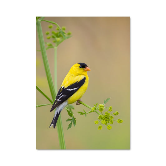 Poster Chant du Printemps