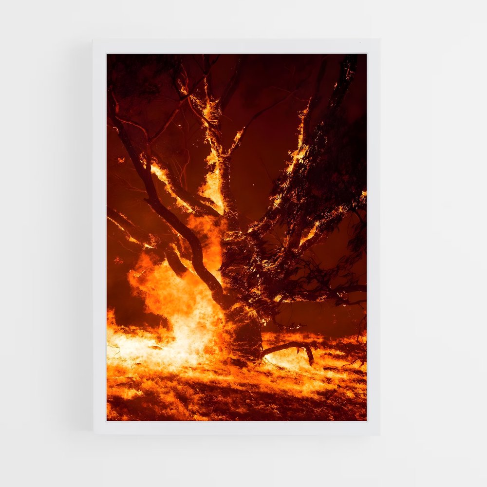 ap-fire-10 cadre Blanc