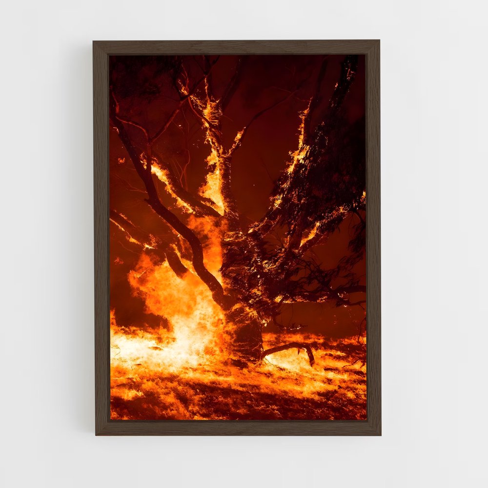 ap-fire-10 cadre Bois foncé