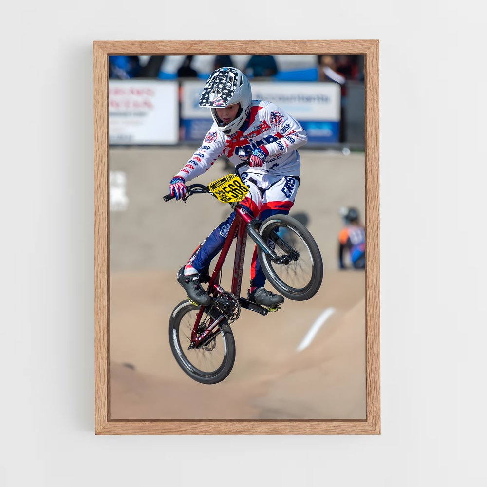 ap-fise world series bmx-1 cadre Bois clair