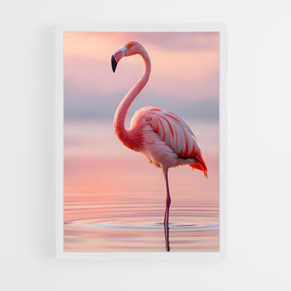 ap-flamingo-2 cadre Blanc
