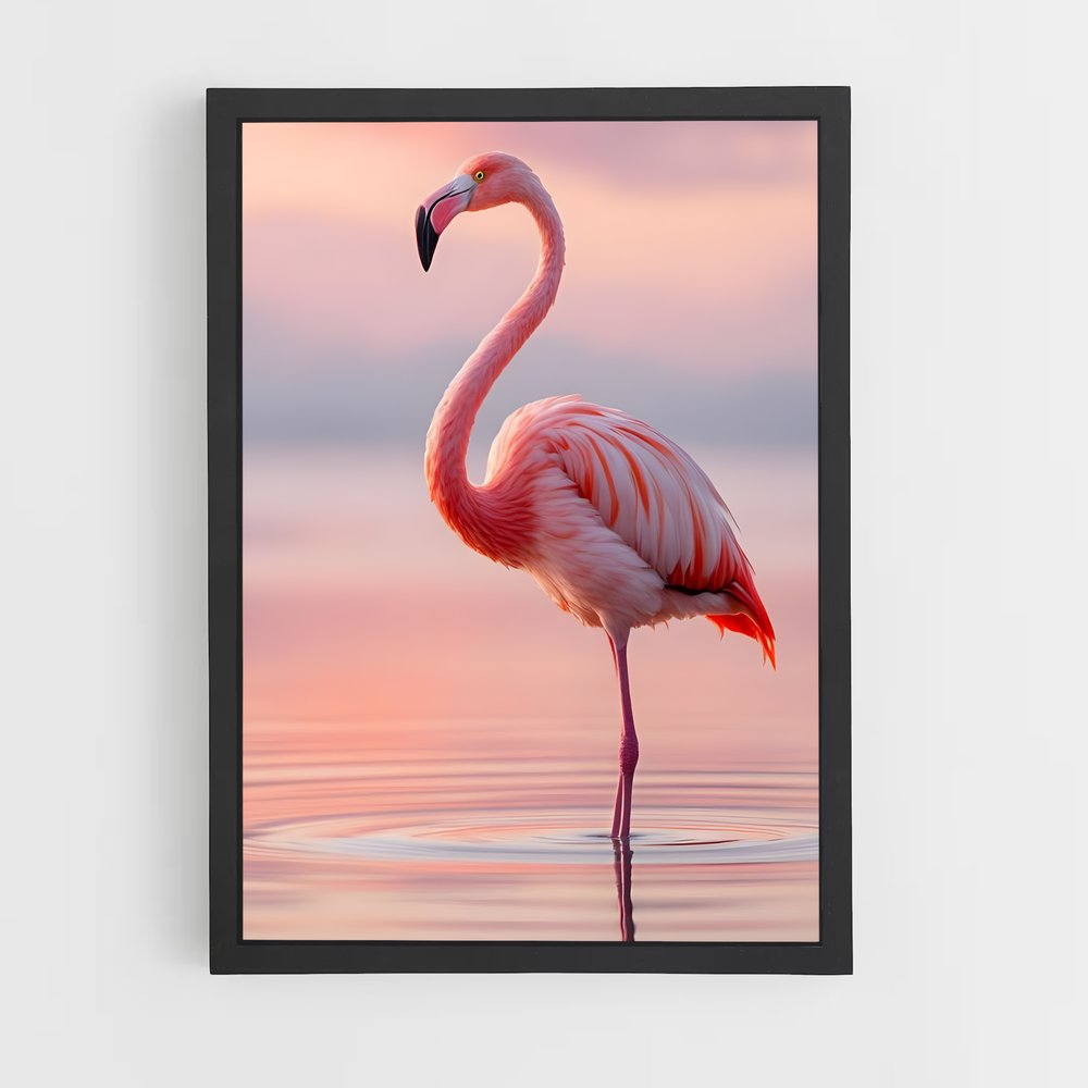 ap-flamingo-2 cadre Noir