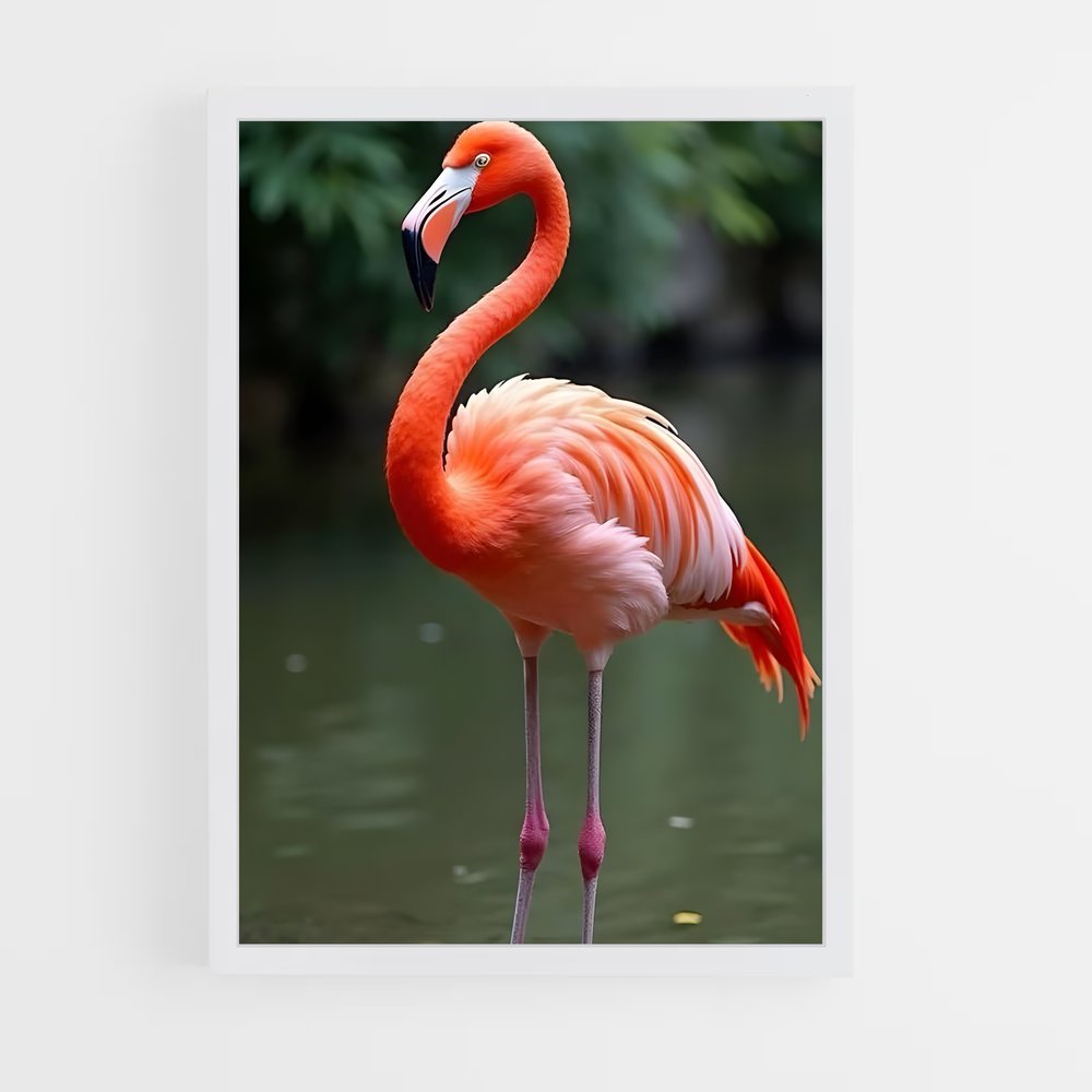 ap-flamingo-3 cadre Blanc