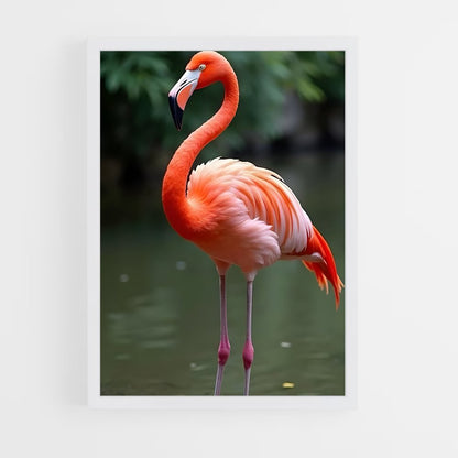 ap-flamingo-3 cadre Blanc