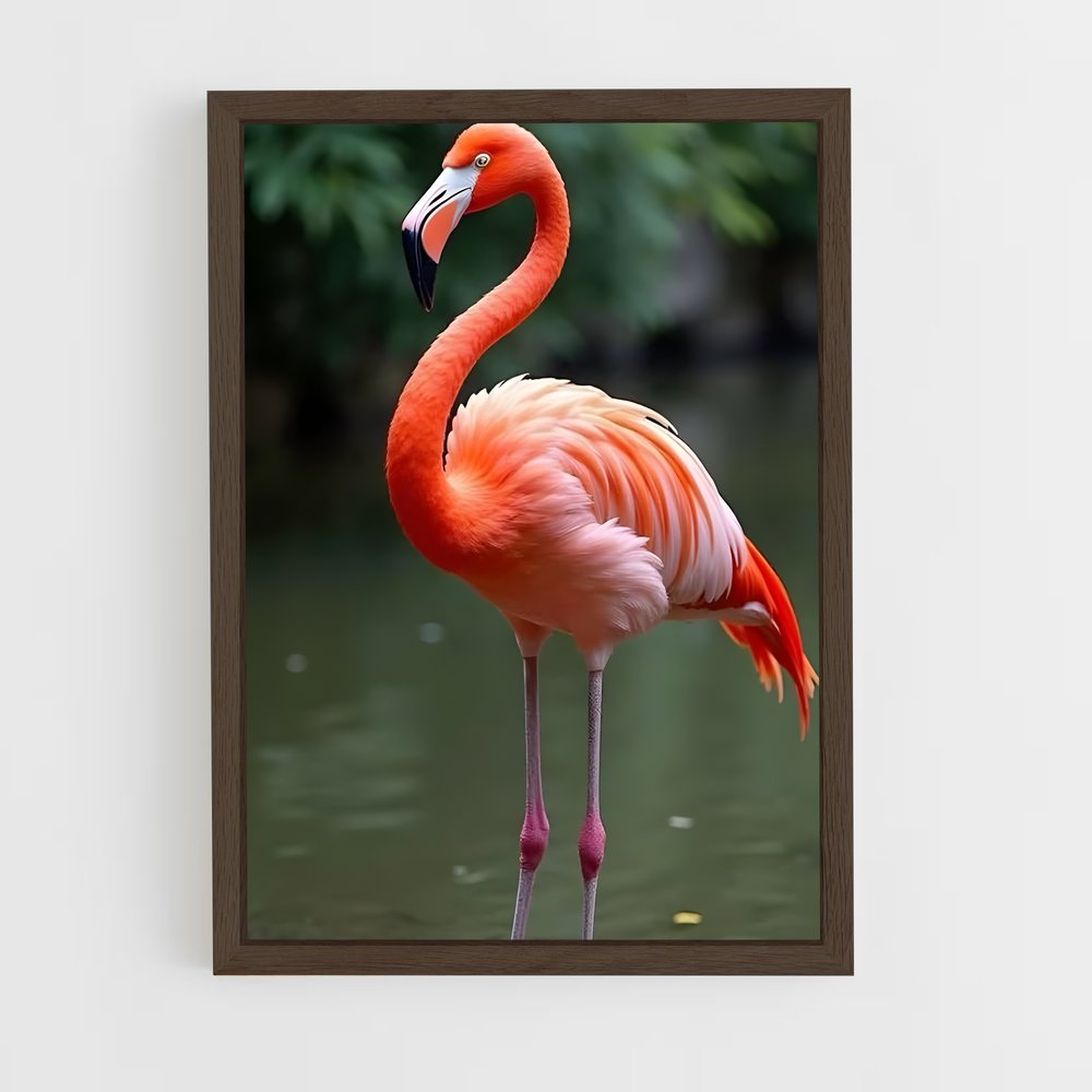 ap-flamingo-3 cadre Bois foncé