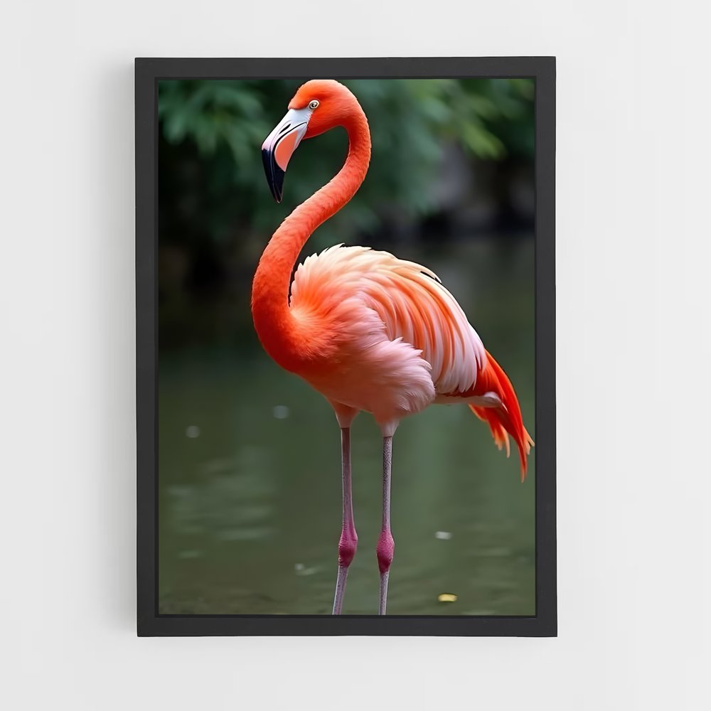 ap-flamingo-3 cadre Noir