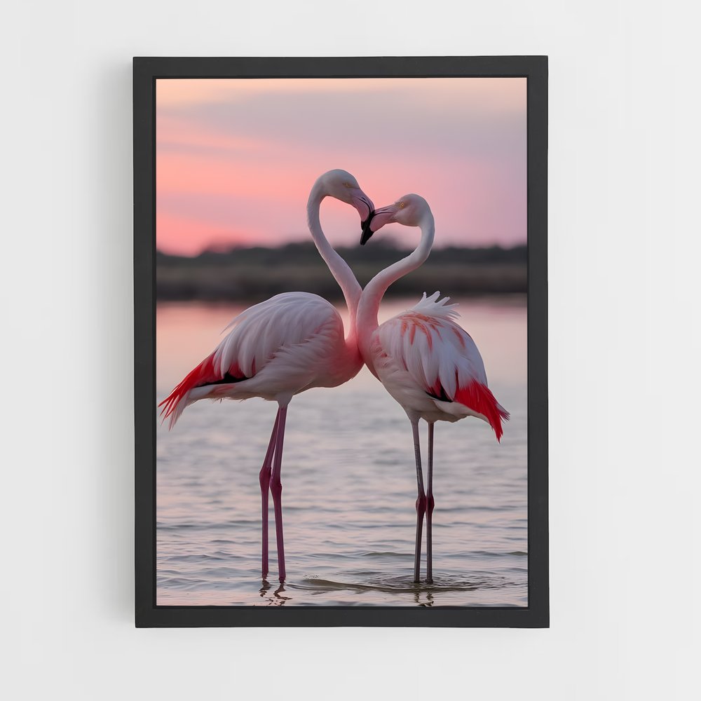 ap-flamingo-6 cadre Noir