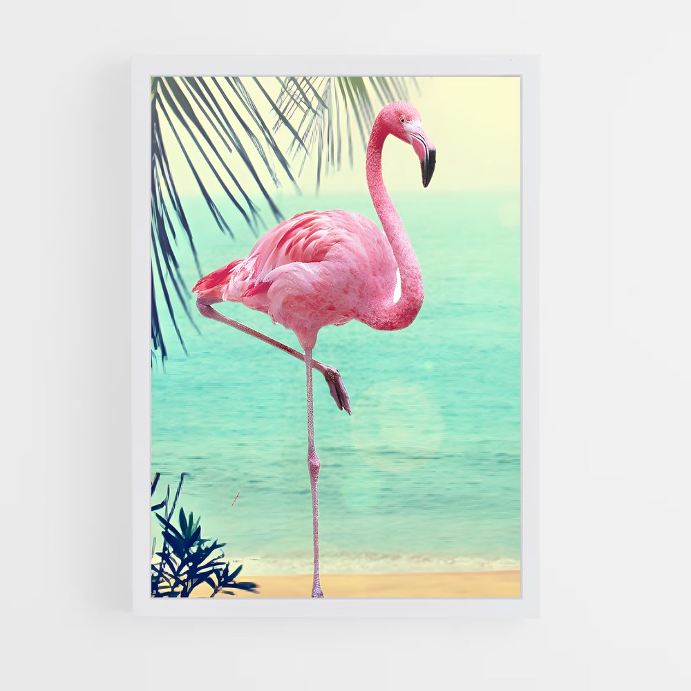 ap-flamingo-7 cadre Blanc