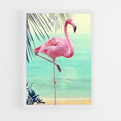 ap-flamingo-7 cadre Blanc