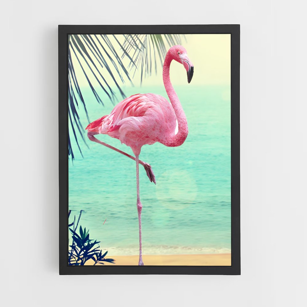 ap-flamingo-7 cadre Noir