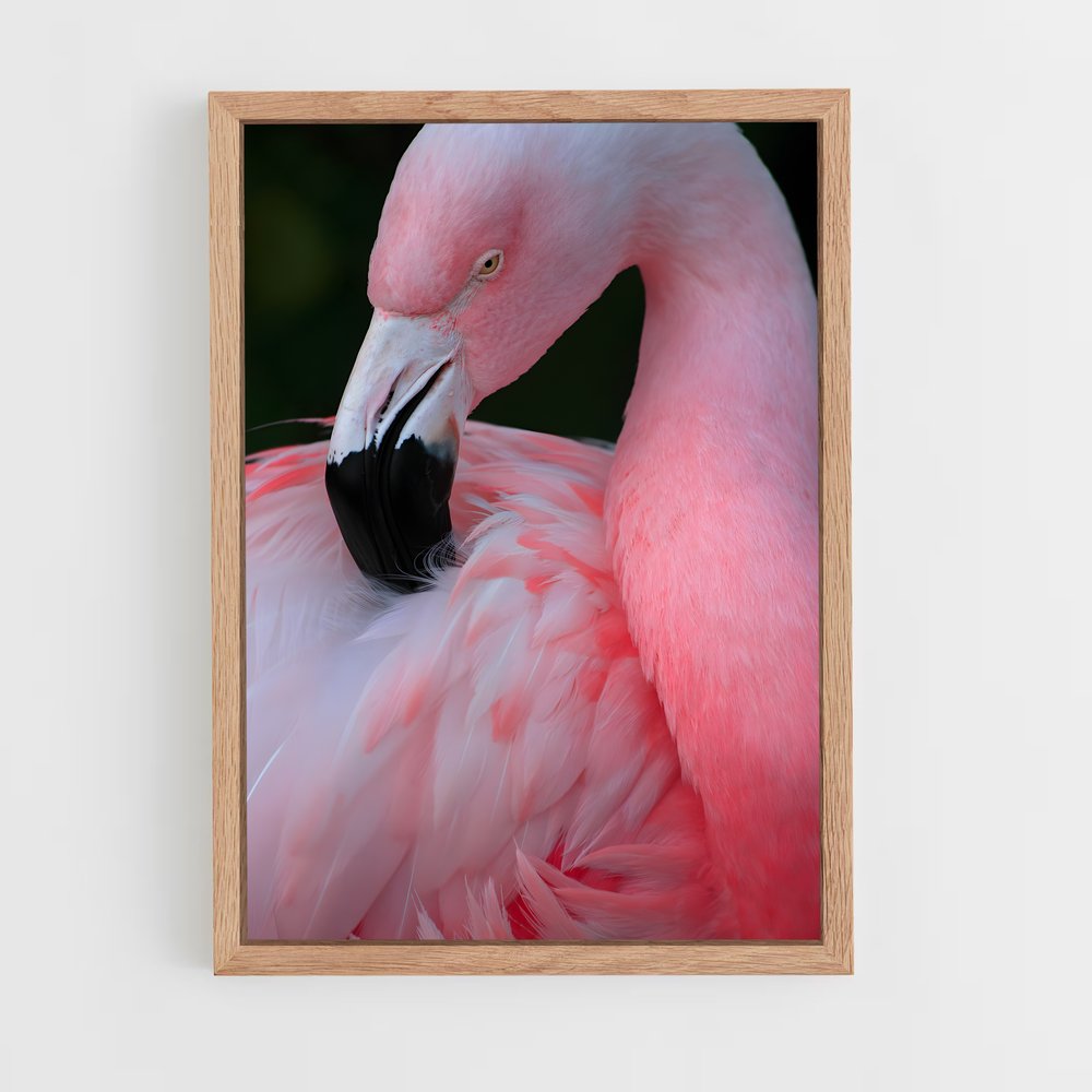 ap-flamingo-8 cadre Bois clair