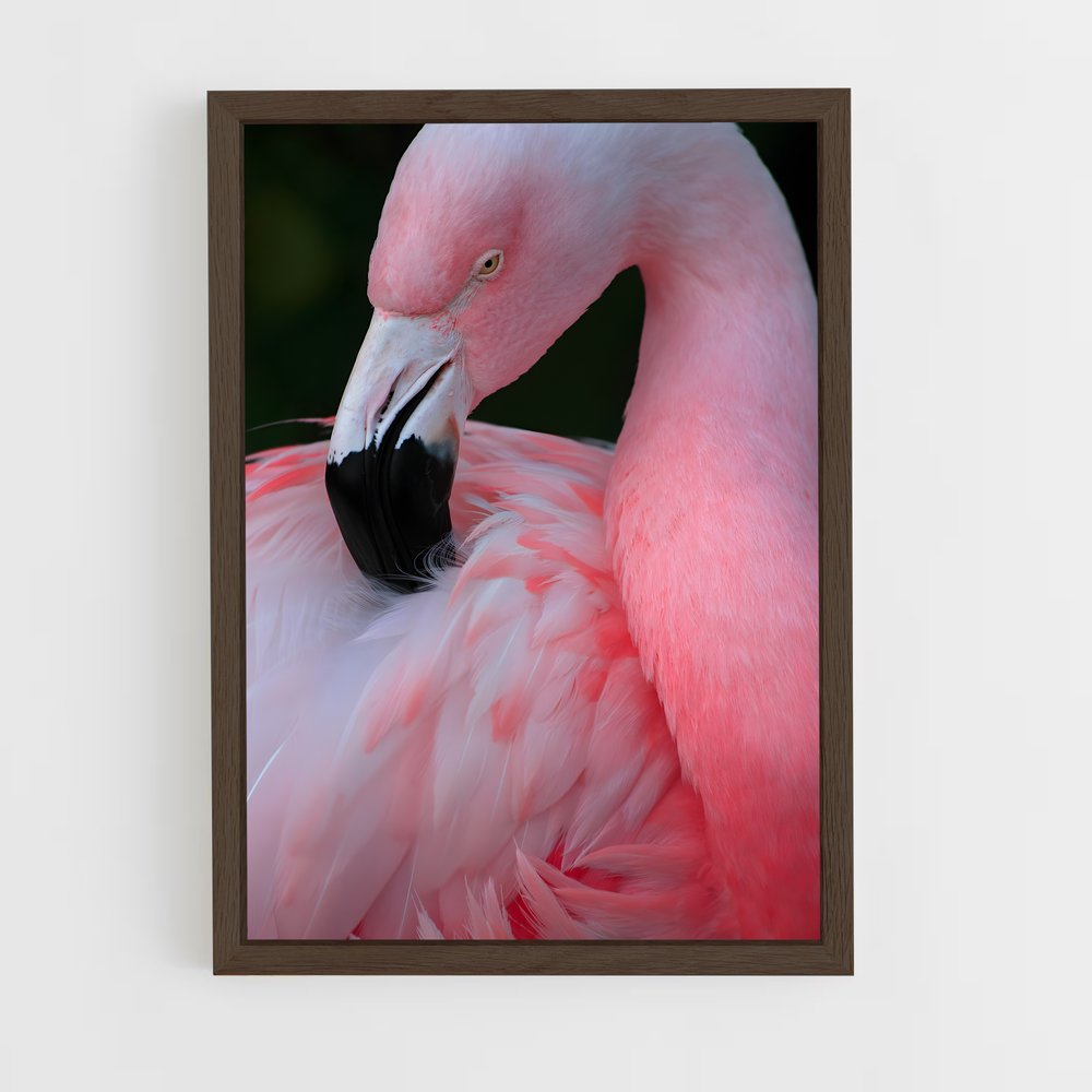 ap-flamingo-8 cadre Bois foncé