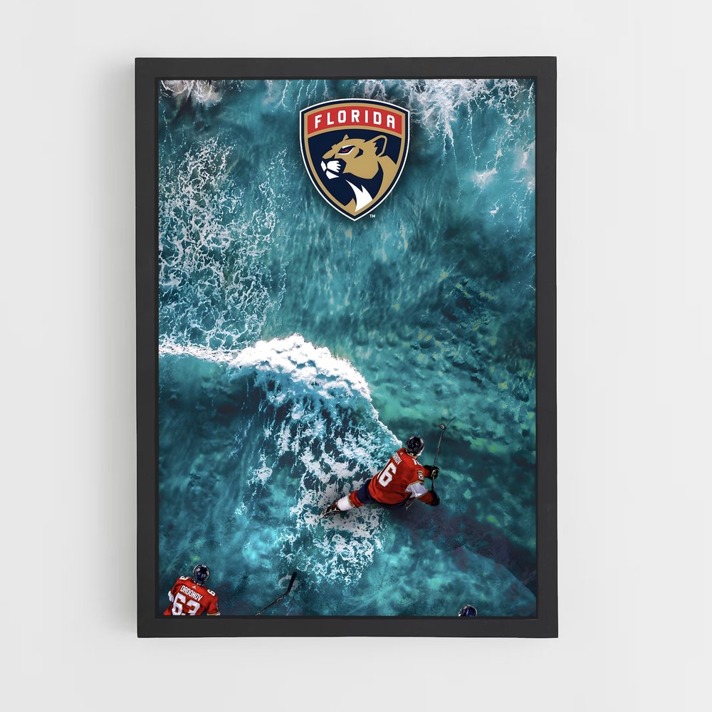 ap-florida panthers-3 cadre Noir