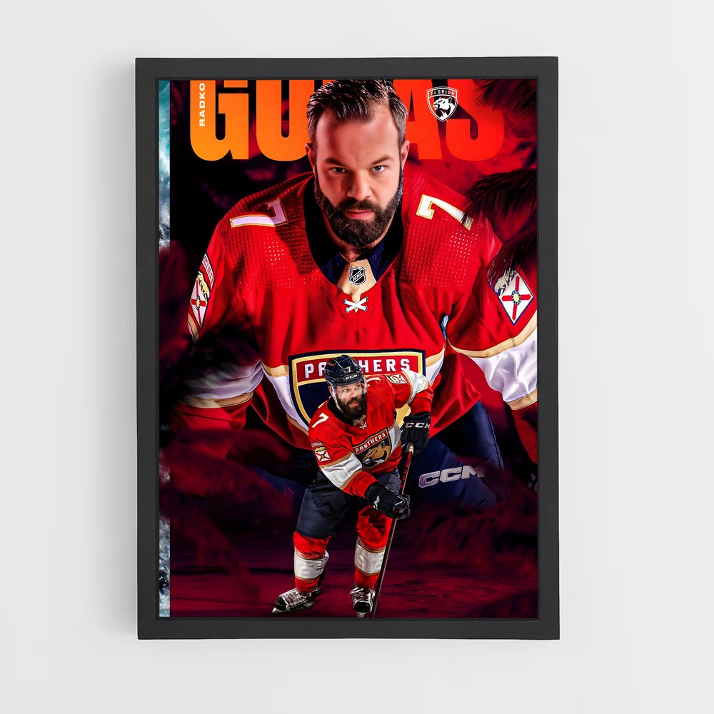 ap-florida panthers-7 cadre Noir