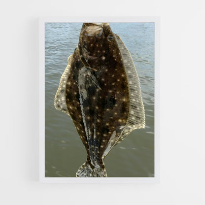 ap-flounder-4 cadre Blanc