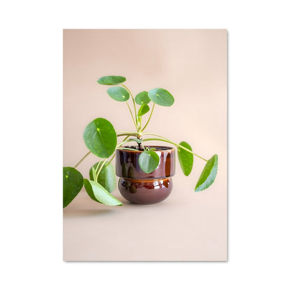 Poster Jardin Secret