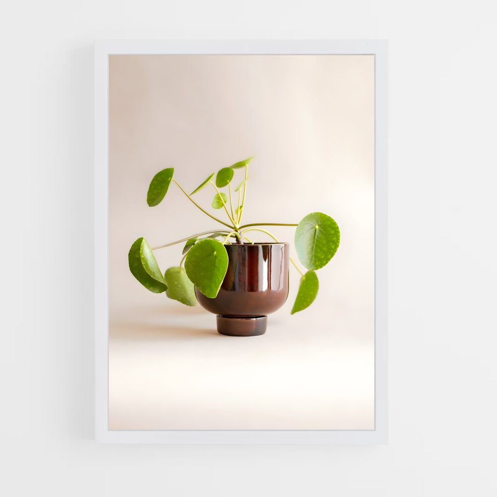 ap-flower pot-3 cadre Blanc