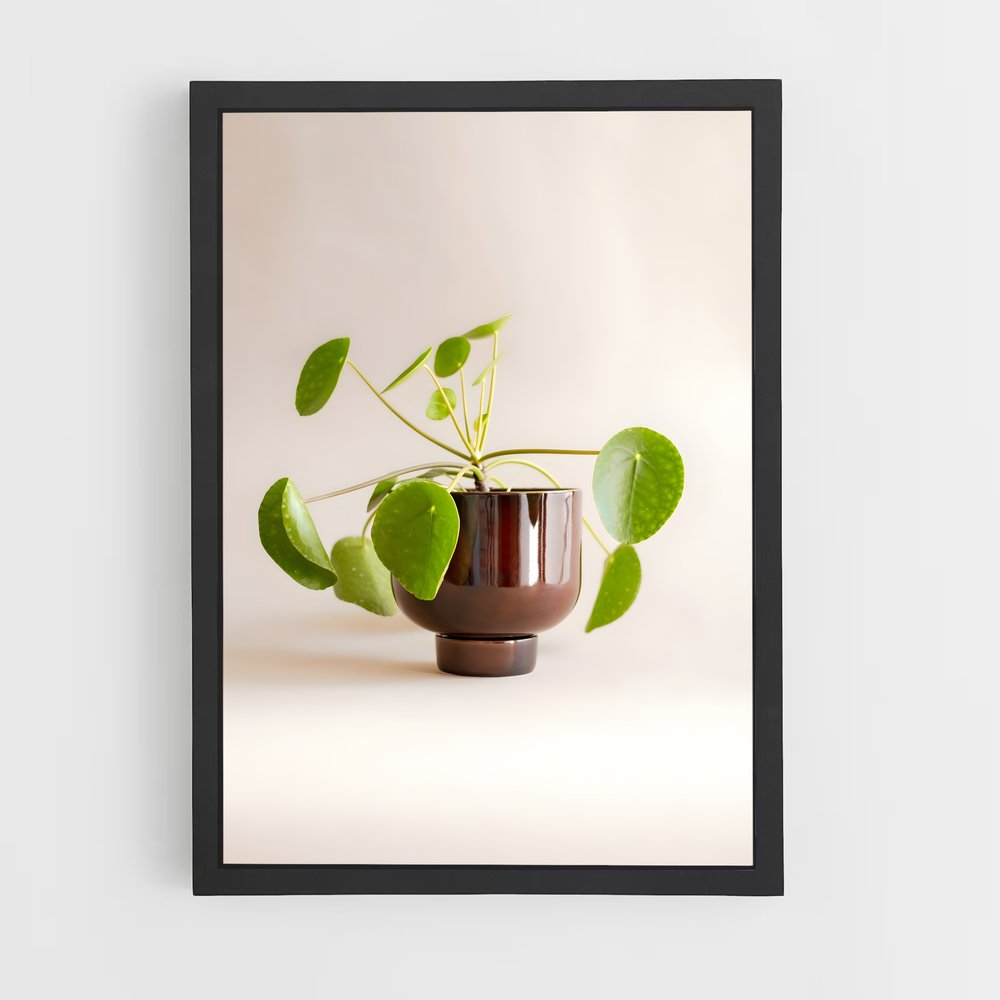 ap-flower pot-3 cadre Noir