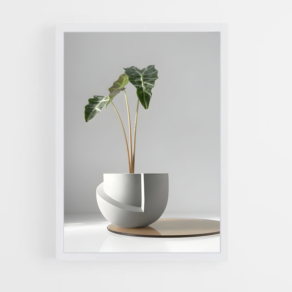 ap-flower pot-6 cadre Blanc