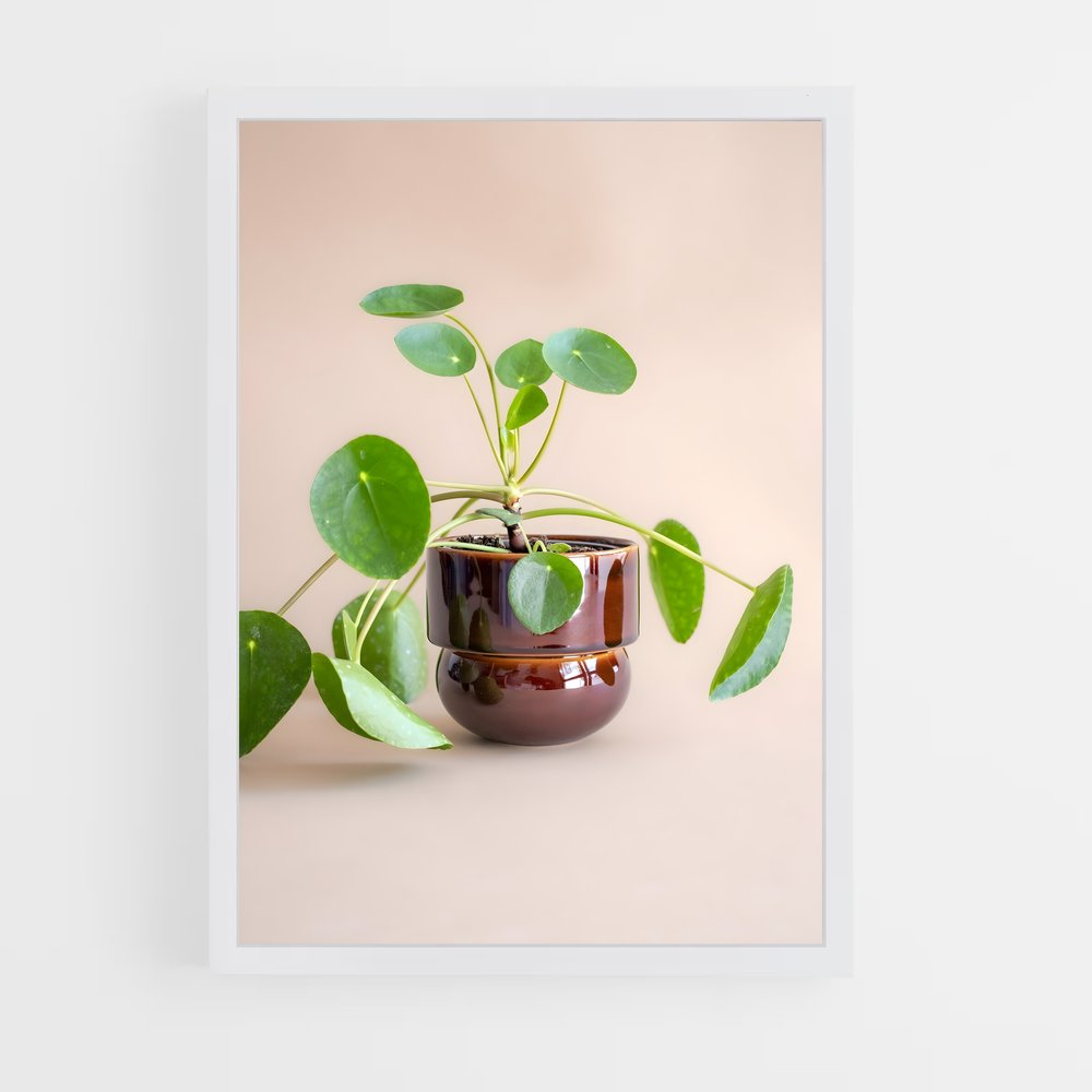 ap-flower pot-7 cadre Blanc